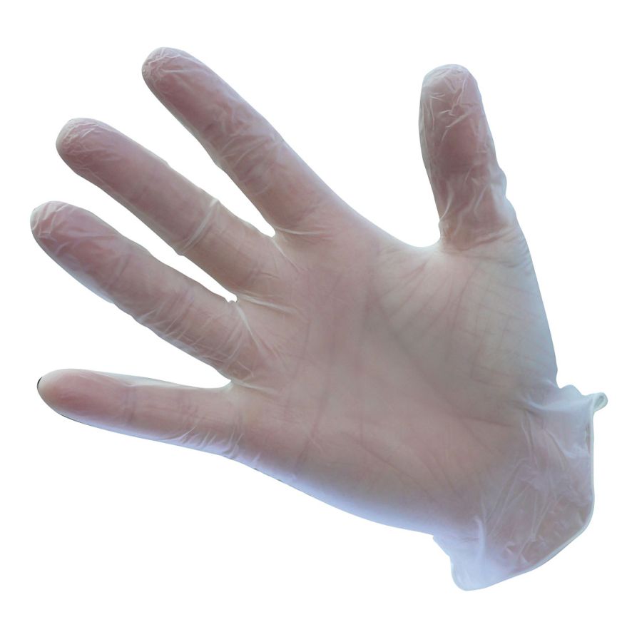 Powdered Vinyl Disposable Glove (Pk100), L, R, Clear