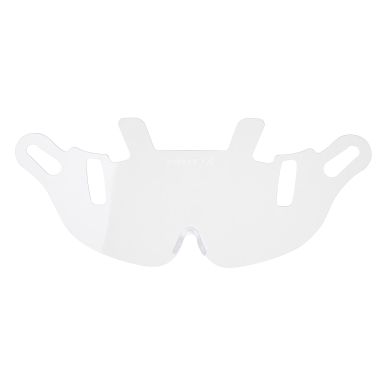 Endurance Visor Replacement, , R, Clear